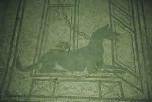 icona4 domus.jpg